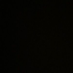 Meet your Posher, Shelby